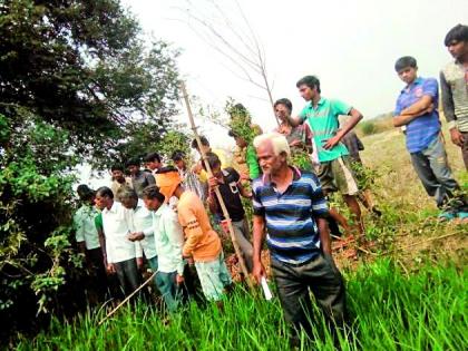 View of Tiger in Landeri area | लेंडारी परिसरात वाघाचे दर्शन