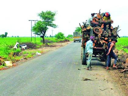 Thousands of trees slaughtered for highway widening | महामार्ग रुंदीकरणासाठी निंबाच्या ९९७ वृक्षांसह हजारो झाडांची कत्तल