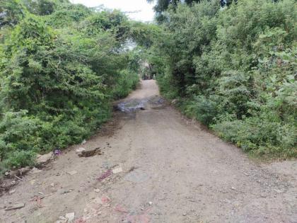 The road at Sakegaon was very narrow due to bushes | साकेगाव येथे झुडपांमुळे रस्ता झाला खूपच अरुंद