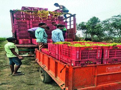 Export of crooveless exports of 'Oki' | ‘ओखी’ने रोखली कोट्यवधींची निर्यात