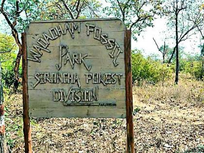 Dinosaur's 'Fossil Museum' in Sironchat | सिरोंचात डायनासोरचे ‘जीवाष्म संग्रहालय’