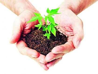 Corona eclipse this year to tree planting | वृक्ष लागवडीला यावर्षी कोरोनाचे ग्रहण Corona eclipse this year to tree planting | वृक्ष लागवडीला यावर्षी कोरोनाचे ग्रहण
