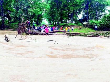 South Gadchiroli floods cause havoc | दक्षिण गडचिरोलीत पुरामुळे हाहाकार