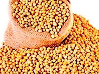 13 samples of seeds found uncertified | बियाण्यांचे १३ नमुने आढळले अप्रमाणित