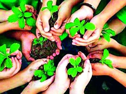 45 lakh 29 thousand 500 saplings will be planted in the district | जिल्ह्यात लावणार ४५ लाख २९ हजार ५०० रोपटी