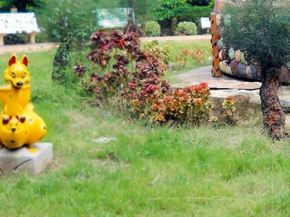 Changes to the hills of Lake Dong and Pindekar garden | डोंगर तलाव व पिंडकेपार बागेचा होणार कायापालट