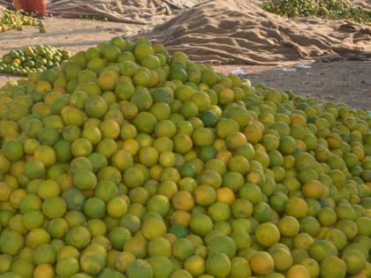 The price of Citrus limetta will go up to 40 thousand | मोसंबीचा दर ४० हजारांवर जाणार