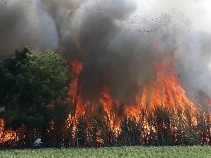 25 acres sugarcane burned in fire in Bhoggaon farm | भोगगाव शिवारात पंचवीस एकरातील ऊस भस्मसात