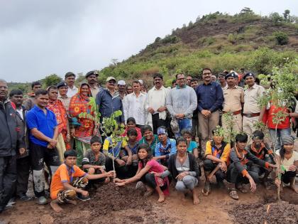 Plantation of one lakh ninety thousand trees in the Kanasaki forests | कनाशी वनपरिक्षेत्रात १ लाख नव्वद हजार वृक्षांची लागवड