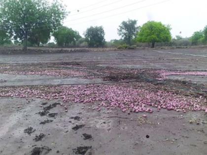 Flash out 70 quintals of onion from farm | कांदा चाळीतील ७० क्विंटल कांदा गेला वाहून