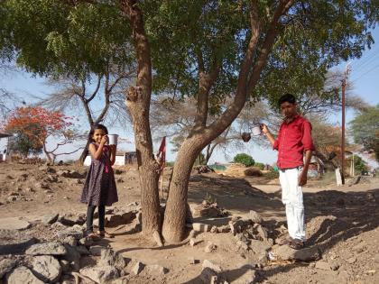 Bird feed-water facility at Manori | मानोरी येथे पक्ष्याच्या दाण्या-पाण्याची सोय