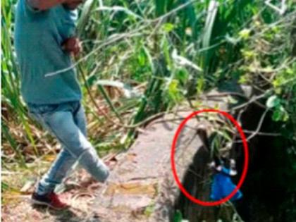 Rescue the snakes that fell into the well | विहिरीत पडलेल्या सापांना जीवदान Rescue the snakes that fell into the well | विहिरीत पडलेल्या सापांना जीवदान