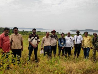 Various species appeared in the forest | कुºहे वनात घडले विविध प्रजातींचे दर्शन