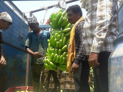 Banana growers robbed by traders due to lack of demand | मागणी नसल्याच्या कांगव्याने केळी उत्पादकांची व्यापाऱ्यांकडून लूट