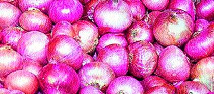 Onion decline in Umrane market committee | उमराणे बाजार समितीत कांदा आवक घटली