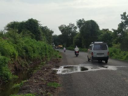 A tree fell on the Sakora-Nandgaon road | साकोरा-नांदगाव रस्त्यावर झाड कोसळले