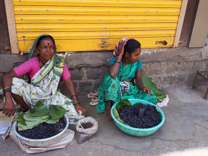 Trimbakeshwar arrival of the mountain on the day! | त्र्यंबकेश्वरला डोंगरच्या काळी मैनाचे बाजात आगमन !