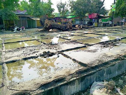 Shelter of unhappy birds | अन् हरवतोय पक्ष्यांचा निवारा