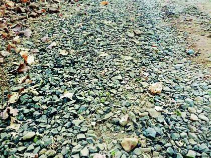 Waiting for repair at Panjra-Bothal road | पांजरा-बोथली रस्त्याला डागडुजीची प्रतीक्षा