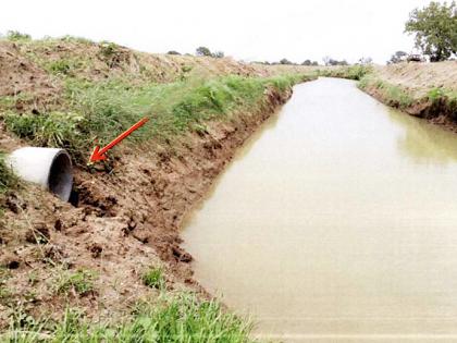 The water collected in the fields reached the Nallah | शेतात जमा होणारे पाणी पोहचले नाल्यात