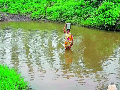 'Red' signal to Agriculture facilities | पिलखानाच्या सुविधांना ‘रेड’ सिग्नल