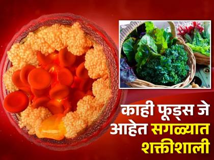 According to Harvard eat these superfoods to beat cancer cholesterol diabetes and high bp together | Harvard नुसार 'हे' आहेत जगातील सगळ्यात शक्तीशाली फूड्स, बीपी, कोलेस्ट्रॉल सगळं होईल दूर