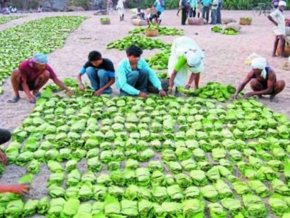 Tendupatta laborers earn three thousand a day | तेंदूपत्ता मजूर कमावताे दिवसाला तीन हजार