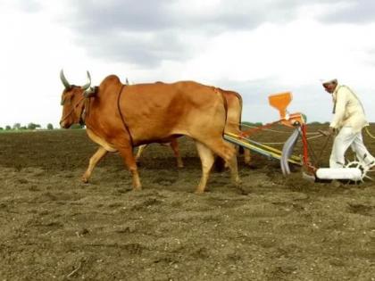 Vidarbha receives 39% less rainfall in June | जून महिन्यात विदर्भात ३९ टक्के कमी पाऊस