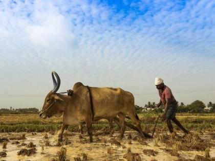 Farmers are waiting for monsoon | मृगातही ऊन्हाच्या झळा बळीराजाला करीत आहेत असह्य !