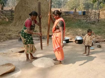 Rare scene! Adivasi women while casting paddy in Gadchiroli district | दुर्मिळ दृश्य! गडचिरोलीच्या विसामुंडी गावात धान कांडण करताना आदिवासी स्त्रिया