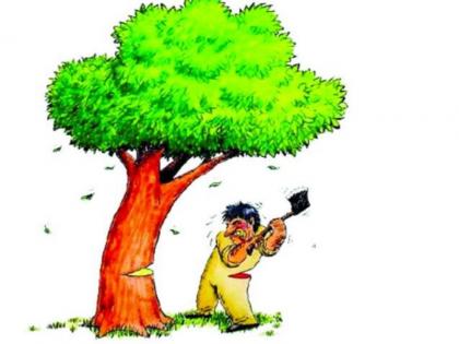 Stolen sale of 25 lakh trees at Valhekarwadi in Pimpri | पिंपरीतील वाल्हेकरवाडीत तब्बल २५ लाख किमतीच्या झाडांची चोरून विक्री