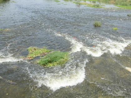 Panjhra river flow due to rotation | आवर्तनामुळे पांझरा नदी झाली प्रवाही Panjhra river flow due to rotation | आवर्तनामुळे पांझरा नदी झाली प्रवाही