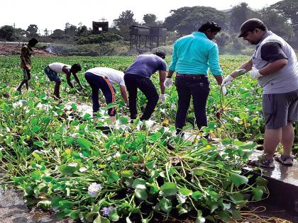  Ulhas River free from the diversion of waterfowl | जलपर्णीच्या वेढ्यातून उल्हास नदी मुक्त