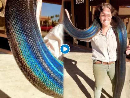 Viral video of this gorgeous rainbow snake will leave all reptile lovers mesmerized | VIDEO : कधीच पाहिला नसेल तुम्ही इतका सुंदर साप, रंग पाहून बसेल आश्चर्याचा धक्का!