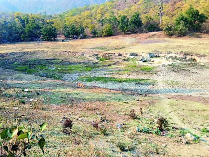 Bahiram Kashi lake waiting for the resurrection | बहिरमचा काशी तलाव पुनर्जीवनाच्या प्रतीक्षेत