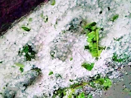Hail in Chikhaldara, Karanja, Bahiram | चिखलदरा, कारंजा, बहिरममध्ये गारपीट Hail in Chikhaldara, Karanja, Bahiram | चिखलदरा, कारंजा, बहिरममध्ये गारपीट