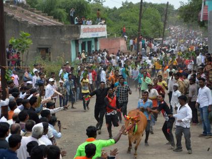 For the bulls, celebrate the pavilion at Sakagga in two places | बैलांच्या शर्यतीने साकेगावात दोन ठिकाणी पोळा साजरा