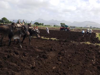 Sowing speed in Deola taluka | देवळा तालुक्यात पेरणीला वेग