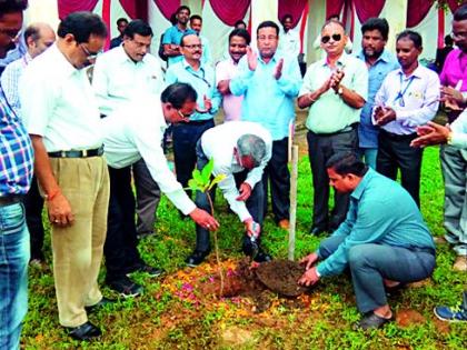 The need for timing of tree conservation | वृक्षसंवर्धन ही काळाची गरज