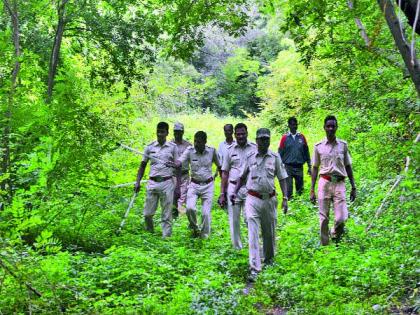 Again the urban spatial leopards | पुन्हा नागरी वस्तीलगत बिबट्या