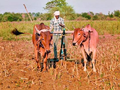 Farmers are helpless due to increase in seed prices | बियाणे दरवाढीने शेतकरी हतबल