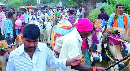 The bailpola remains for the name | बैलपोळा उरला आता नावापुरताच