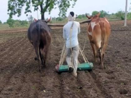 farmers waiting for monsoon | शेतकऱ्यांसह सर्वांच्या नजरा लागल्या नभाकडे !