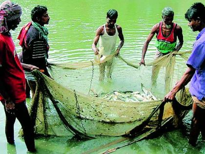 Aim of 2,000 tonnes of fish production this year | यावर्षी दोन हजार टन मत्स्य उत्पादनाचे उद्दिष्ट