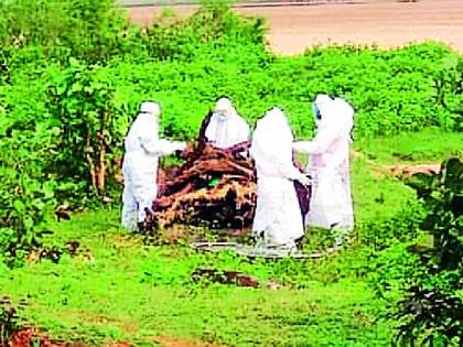 Another 110 people were hit by the corona | आणखी ११० जणांना कोरोनाची बाधा Another 110 people were hit by the corona | आणखी ११० जणांना कोरोनाची बाधा