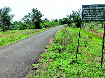 Out of 33 crore tree planting scheme, 60% trees are missing | ३३ कोटी वृक्ष लागवड याेजनेतील ६० टक्के वृक्ष गायब