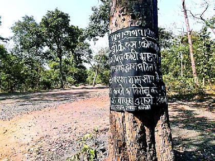 Naxal banner on Surjagad road | सुरजागड मार्गावर नक्षल बॅनर