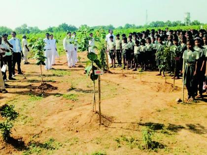 Various activities celebrate Wildlife Week | विविध उपक्रमांनी वन्यजीव सप्ताह साजरा