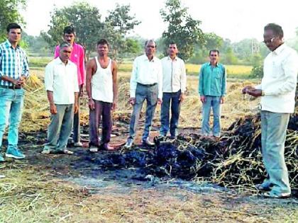 Burnt of fire was burned in three and a half | साडेतीन एकरातील धानाचे पुंजणे जळाले