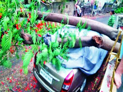  Due to tree collapse, four-wheeler vehicle damage | वृक्ष कोसळून चारचाकी वाहनाचे नुकसान